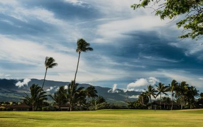 Maui, un nouveau paradis à Hawaï pour les touristes